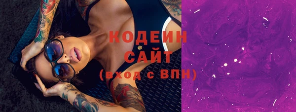 Альфа ПВП Горняк