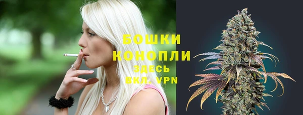 Альфа ПВП Горняк