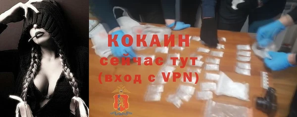 Альфа ПВП Горняк