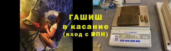Альфа ПВП Горняк