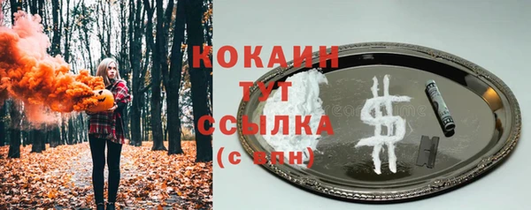 ALPHA PVP Горно-Алтайск