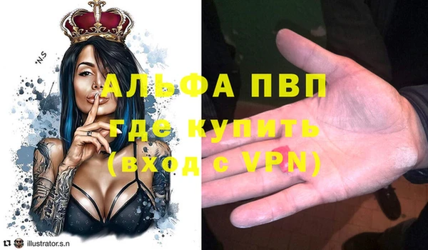 СК Горнозаводск