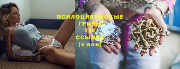 СК Горнозаводск